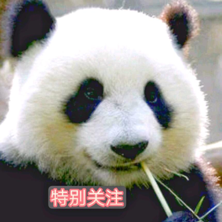 特别关注（刚子哥）