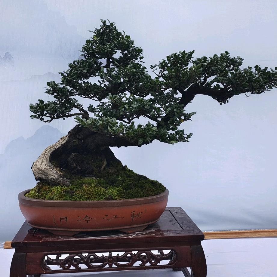 天下无双