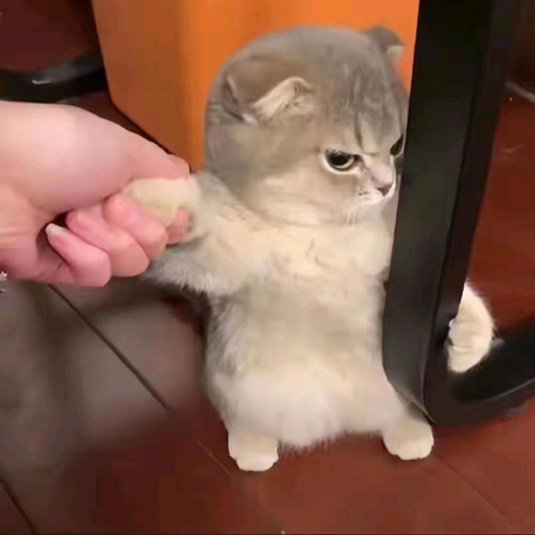 离落