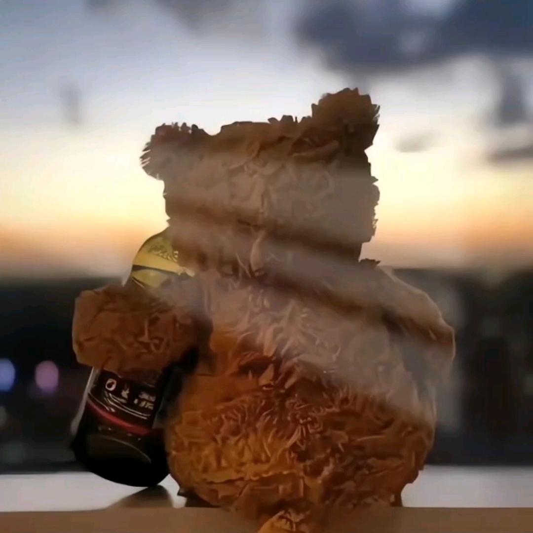 废墟里的玫瑰