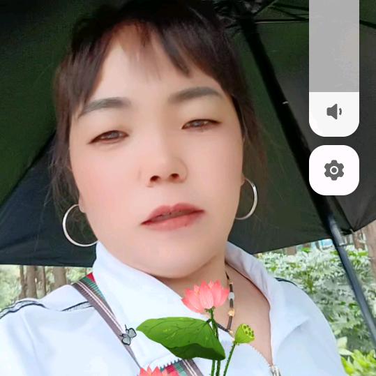 一帆风顺@龙