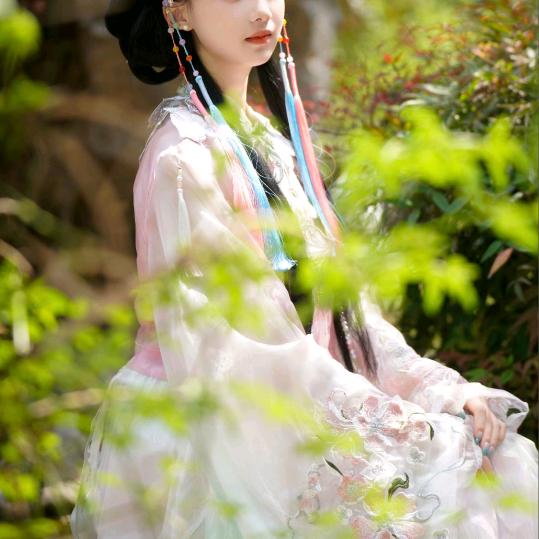 狸狸