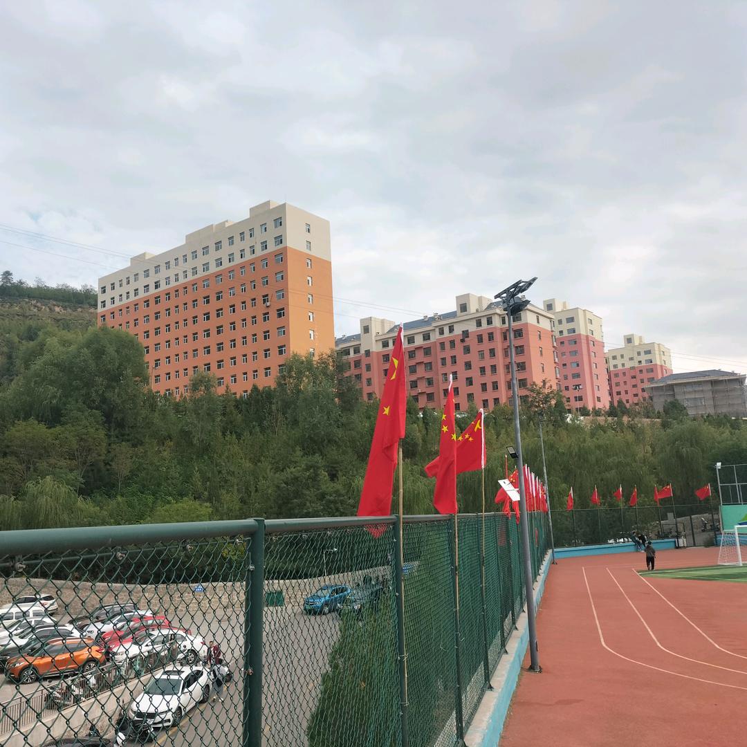 段奴英