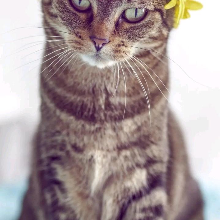 正在编辑中，，，