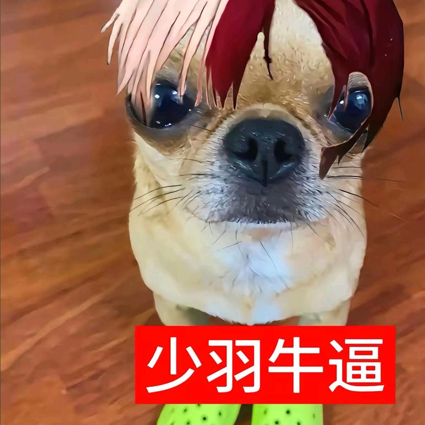 尤文