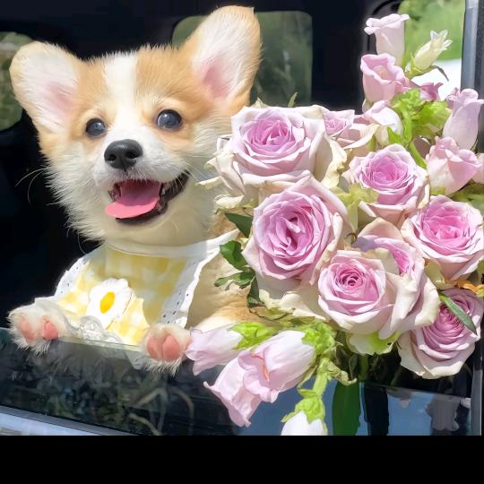 锐英百货商行浩浩轩轩