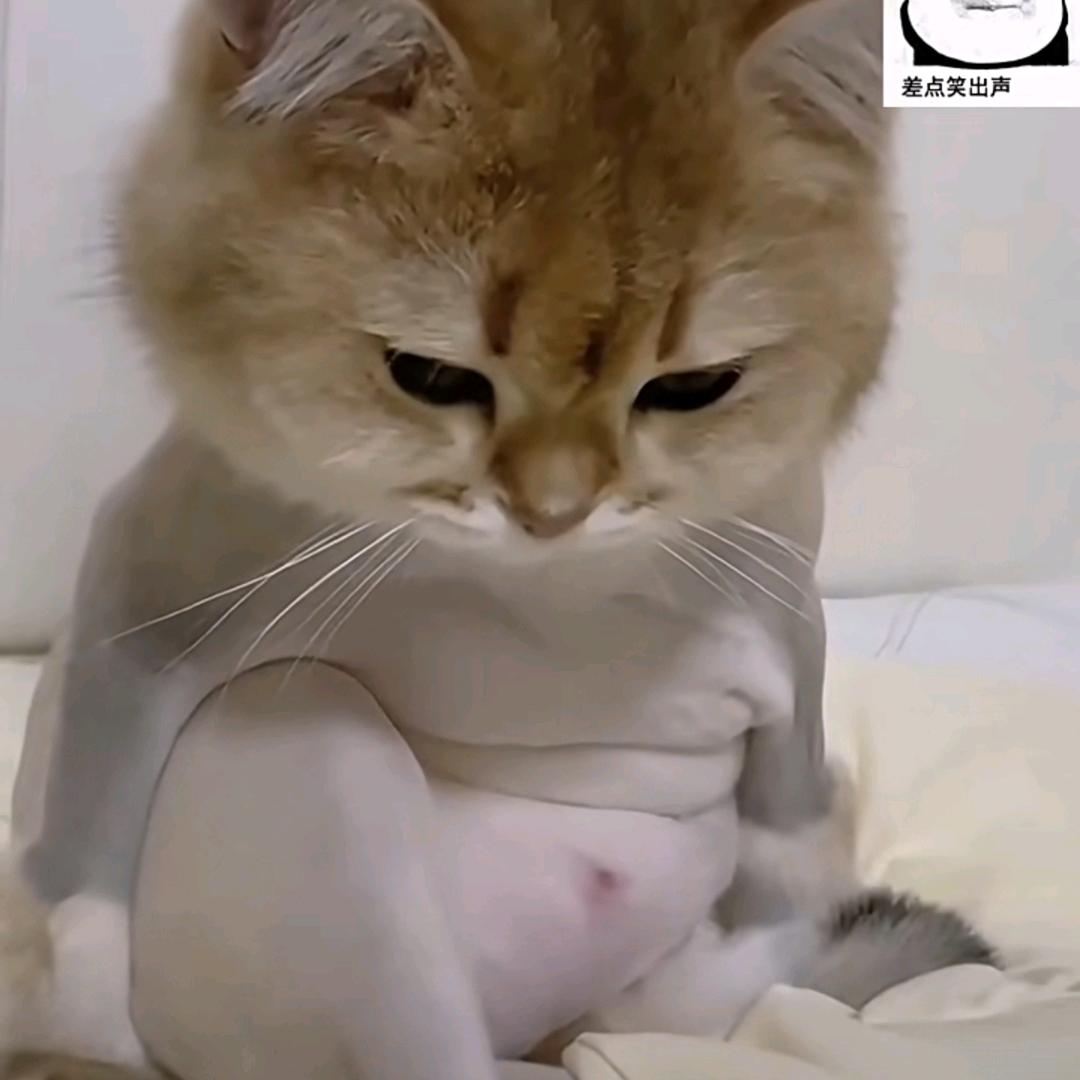 童心未泯，所遇皆甜