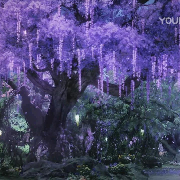 @桐桐呀