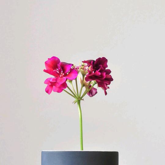 笑笑运动（早上5点）