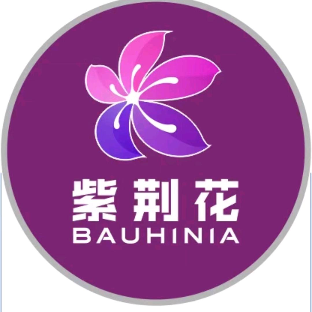 紫荆花漆江川营运中心（张立明）