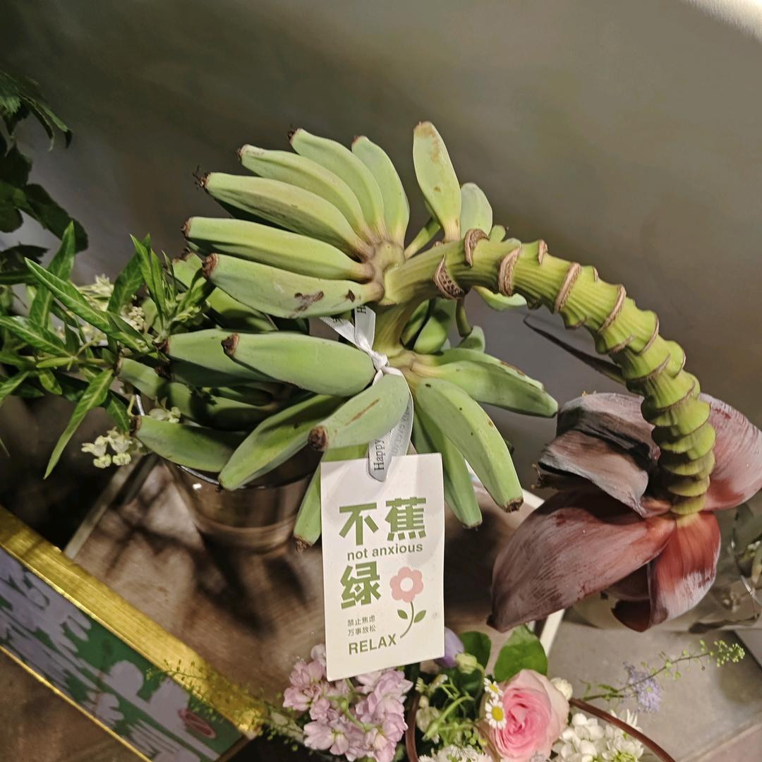 重生之我在开心米奇干活