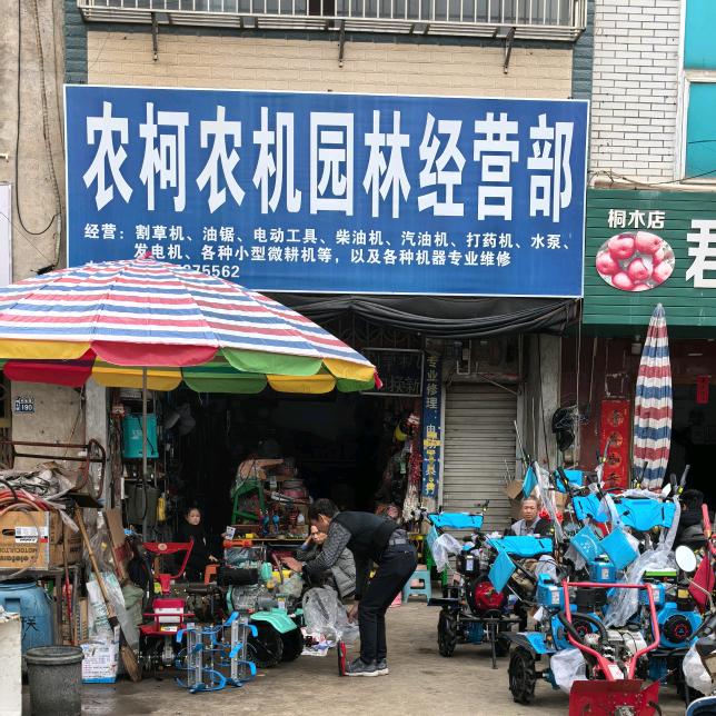 桐木园林哥