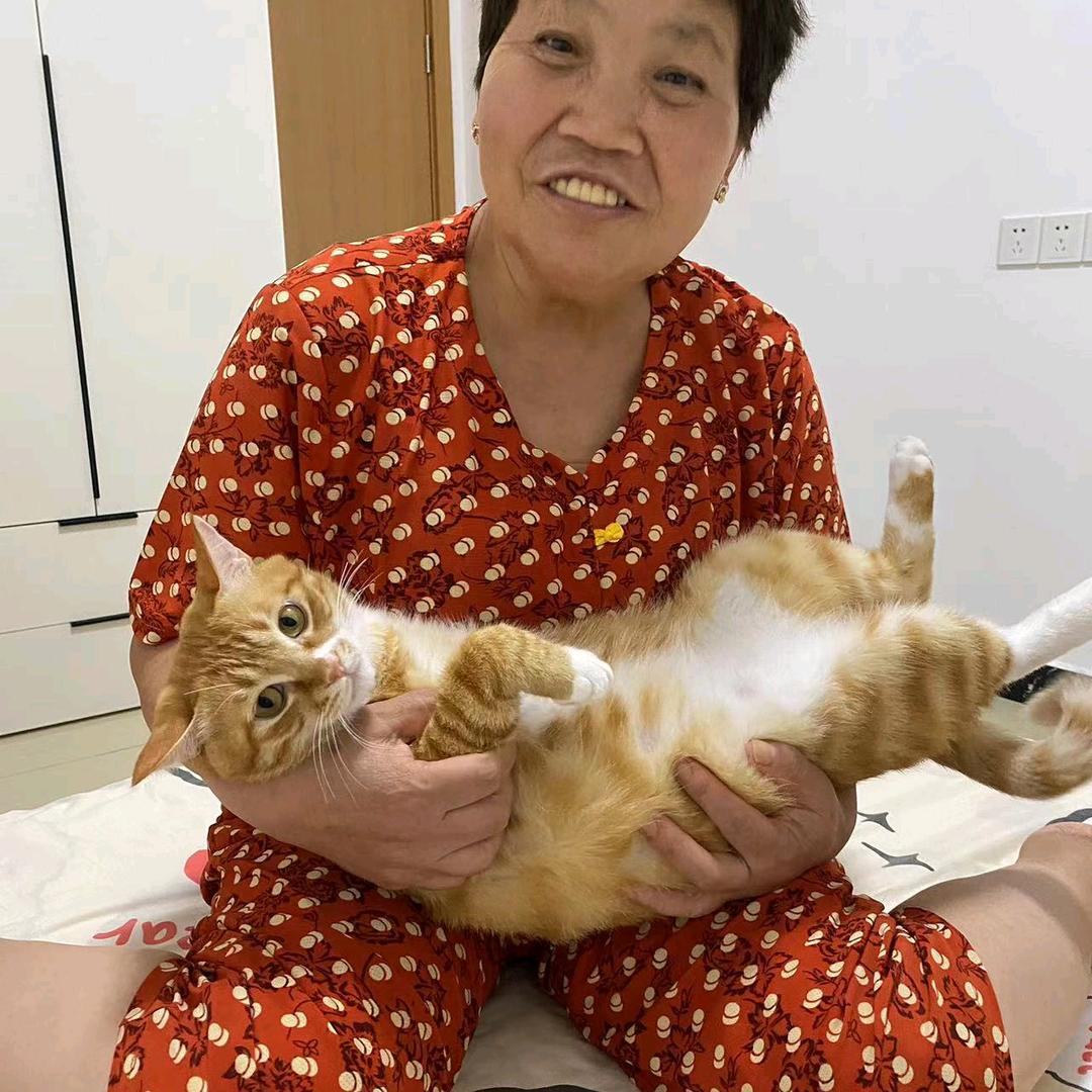 夏天的风雨