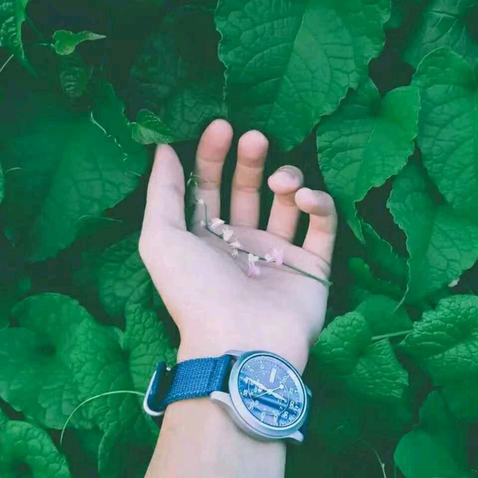 天使的香水☄️☄️