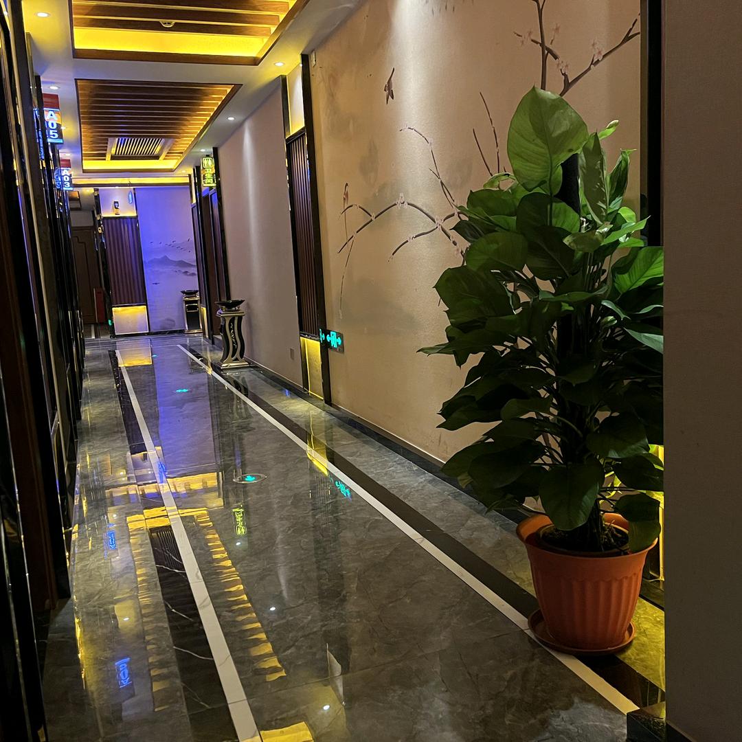 江门市江海区艺豪娱乐有限公司