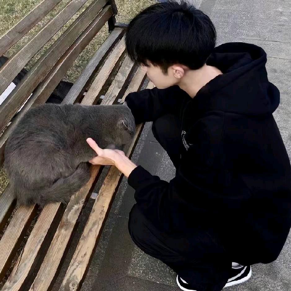 徐ㅤ