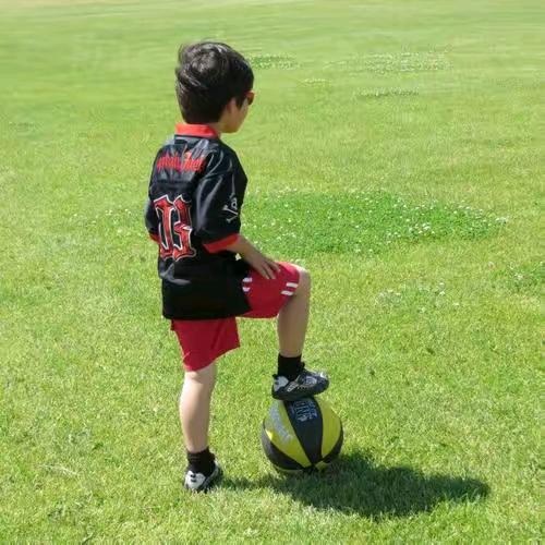 飘洋过海来看你