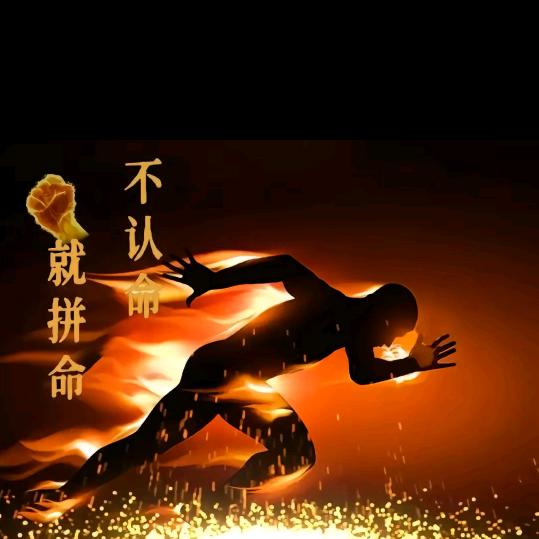 日进斗金