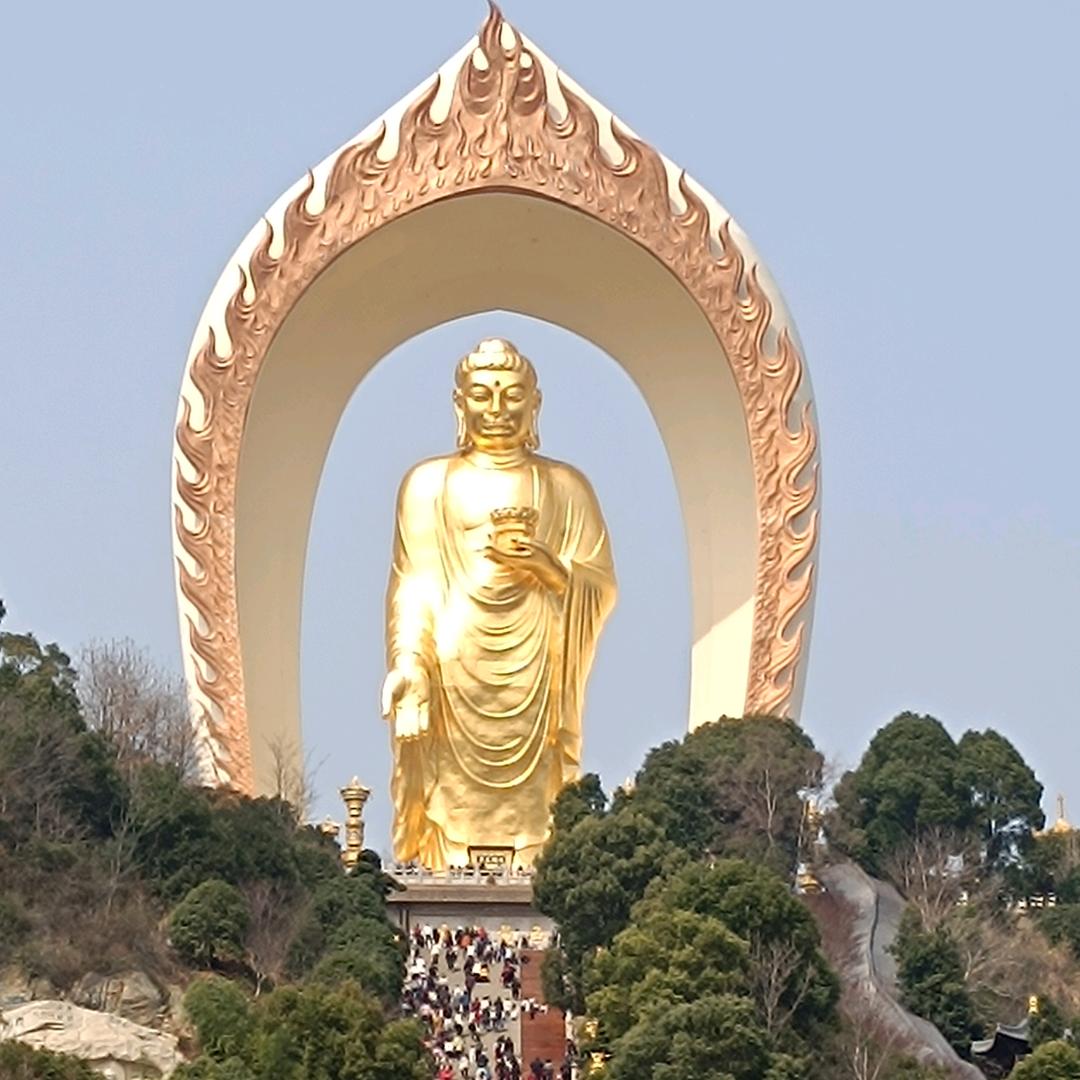 小猪