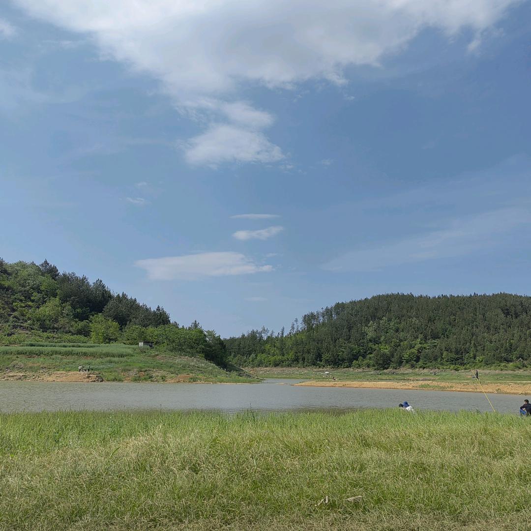 老头脸上不红（四国军旗）