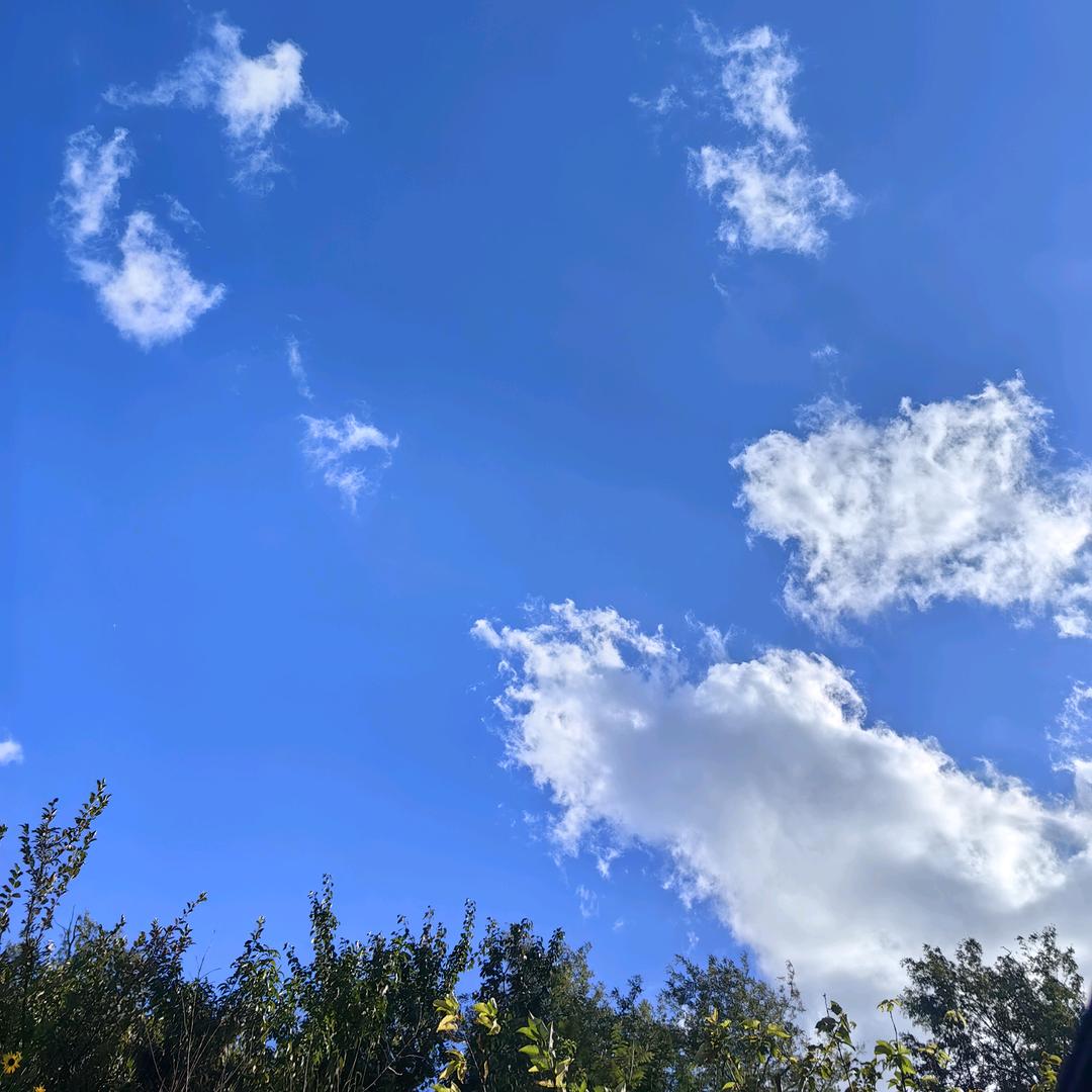 胖jiāng🌿jiāng🌿