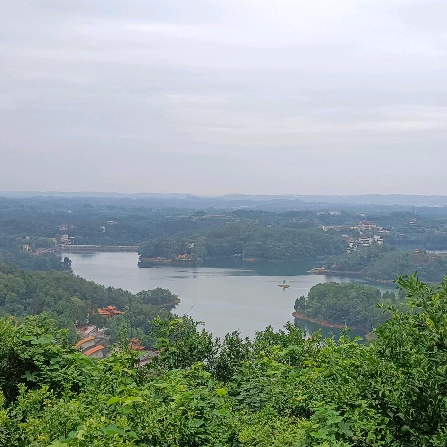 怎么开心怎么活。