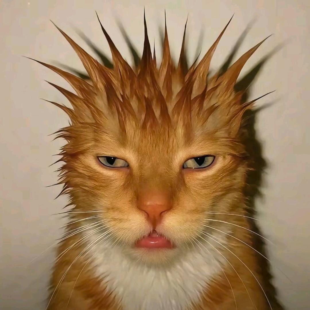 王大Y