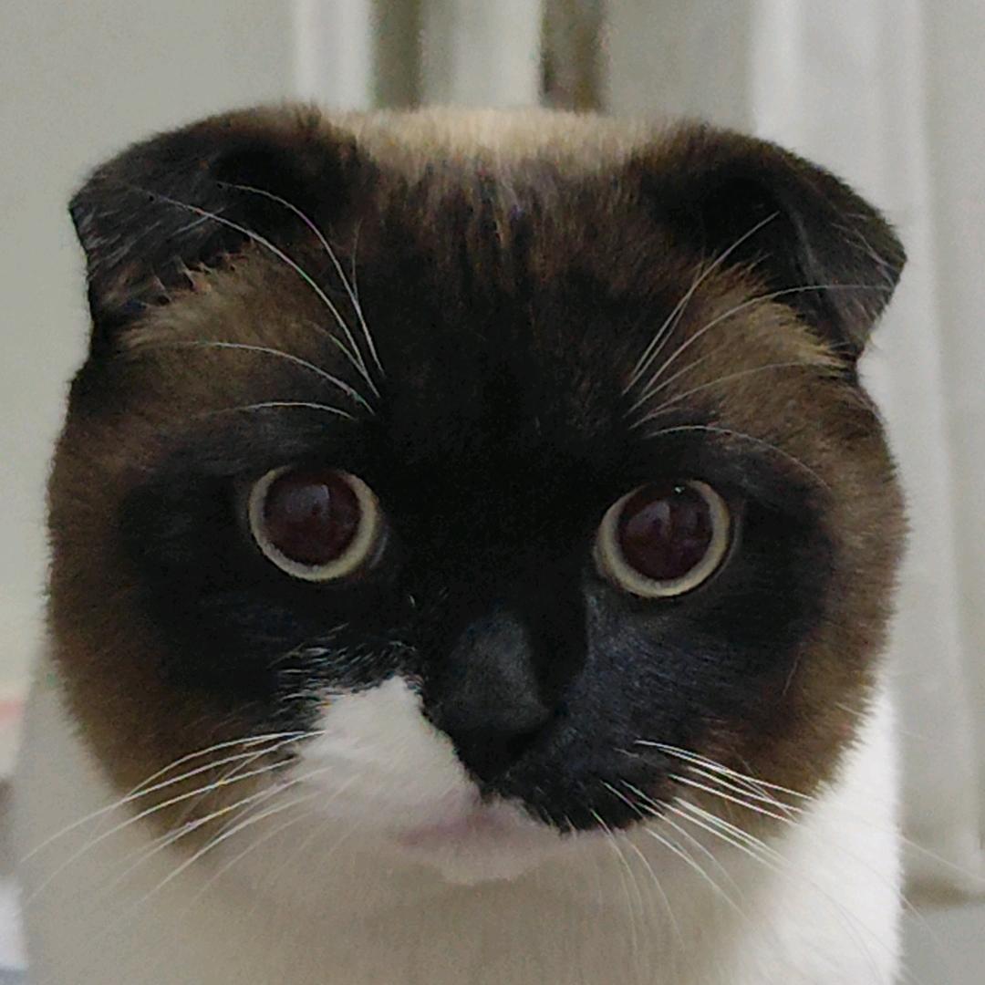 立邦老房改造新房装修（四卫头47号）