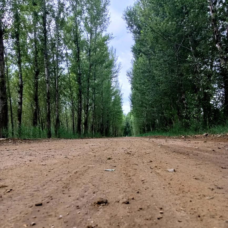 🍂ꦿ幸໊ཀྃ运ོ࿐