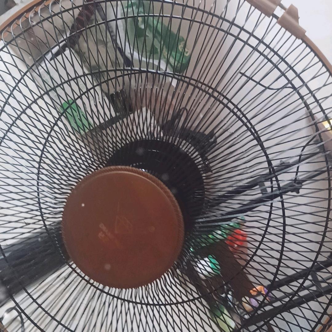 心愿