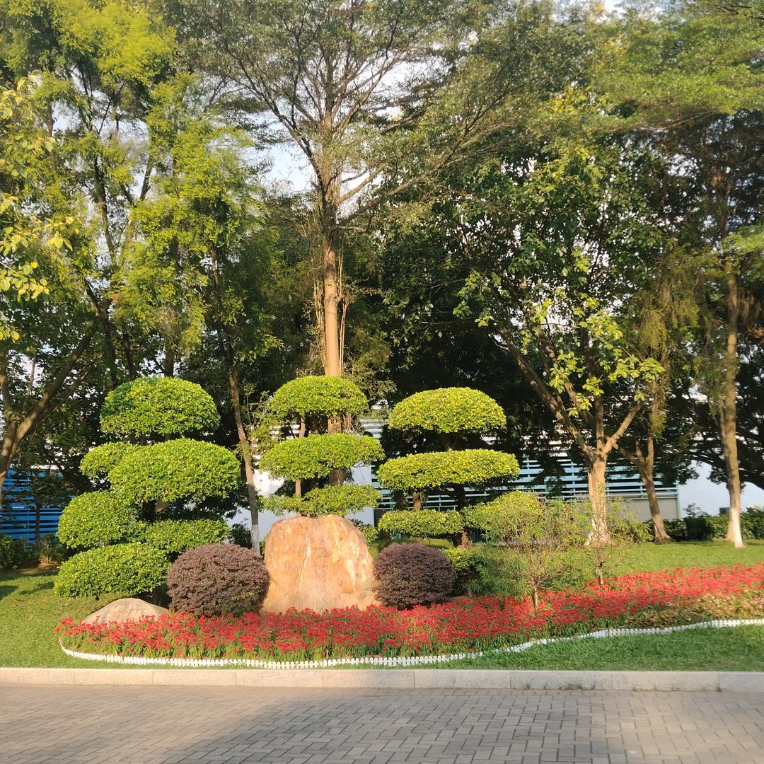 敢情刀太可怕。💔💔💔