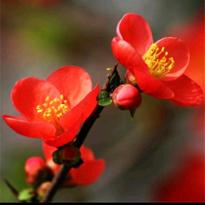 🐶࿐³²¹快快乐乐好心情🐶࿐