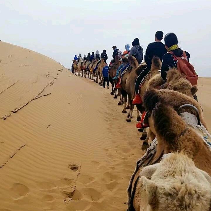 小土豆啊