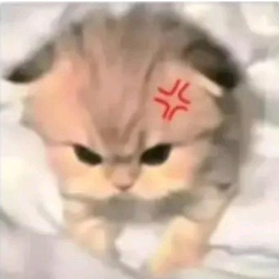 我是小猫咪