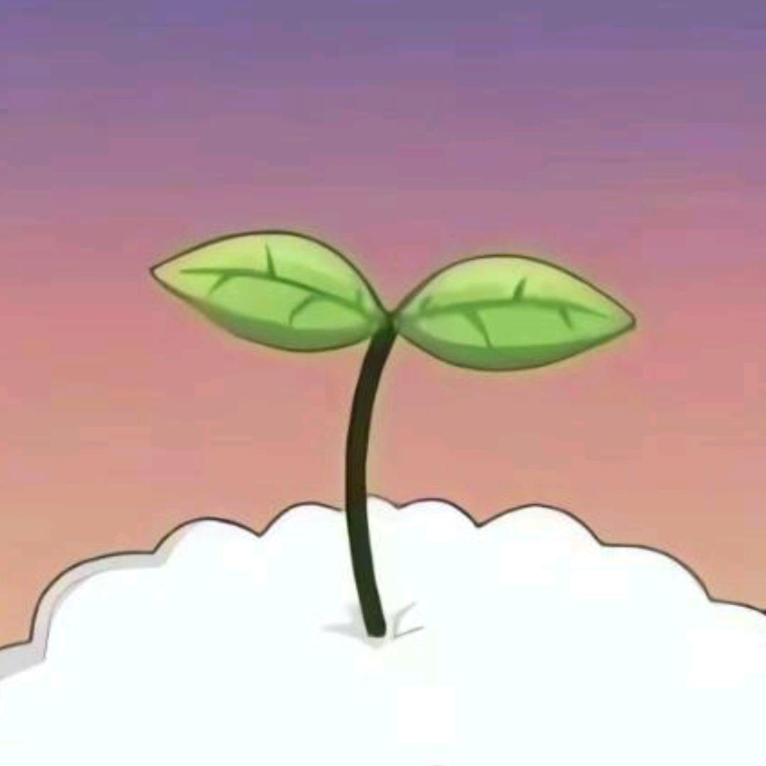 爱芽芽🌱