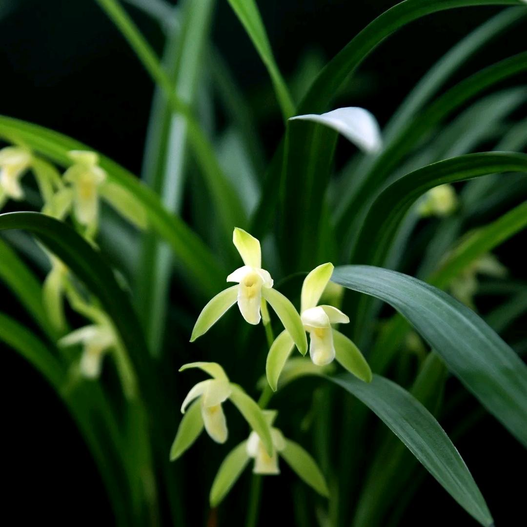 陪云一起去漂流