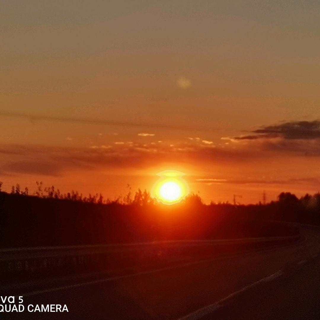 牛，驴代收王文龙