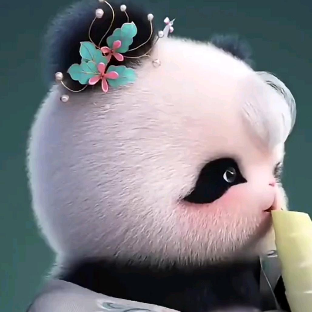 可比兔