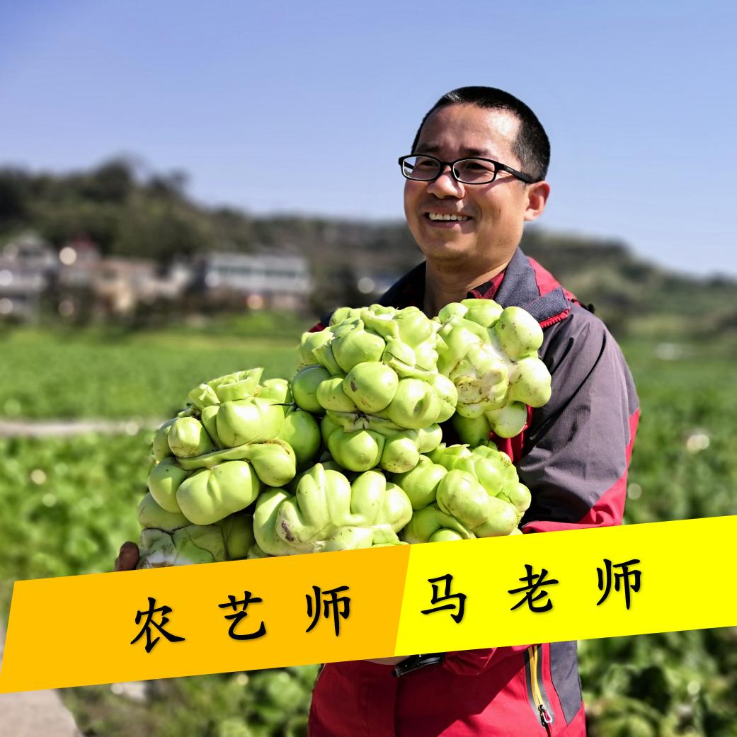 农技马老师（科农达）