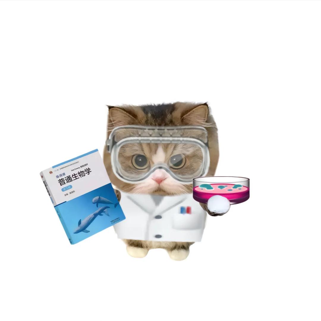 一只小猫子