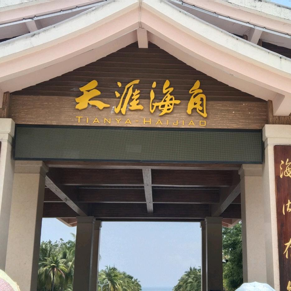 @树先生💯