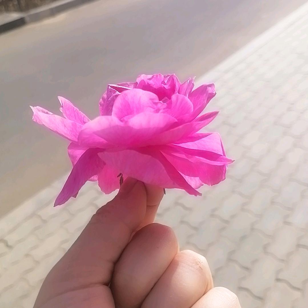 💕