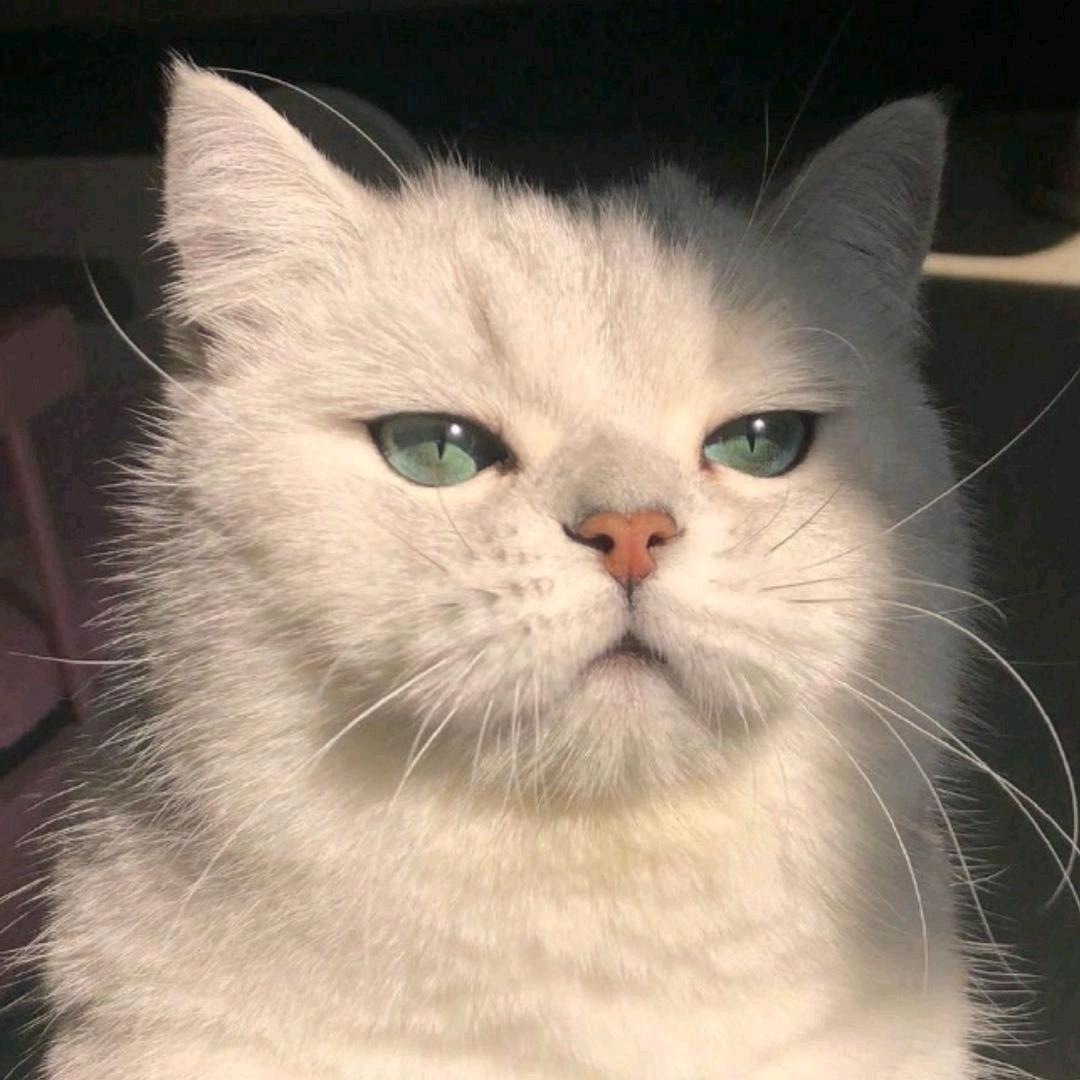 漠