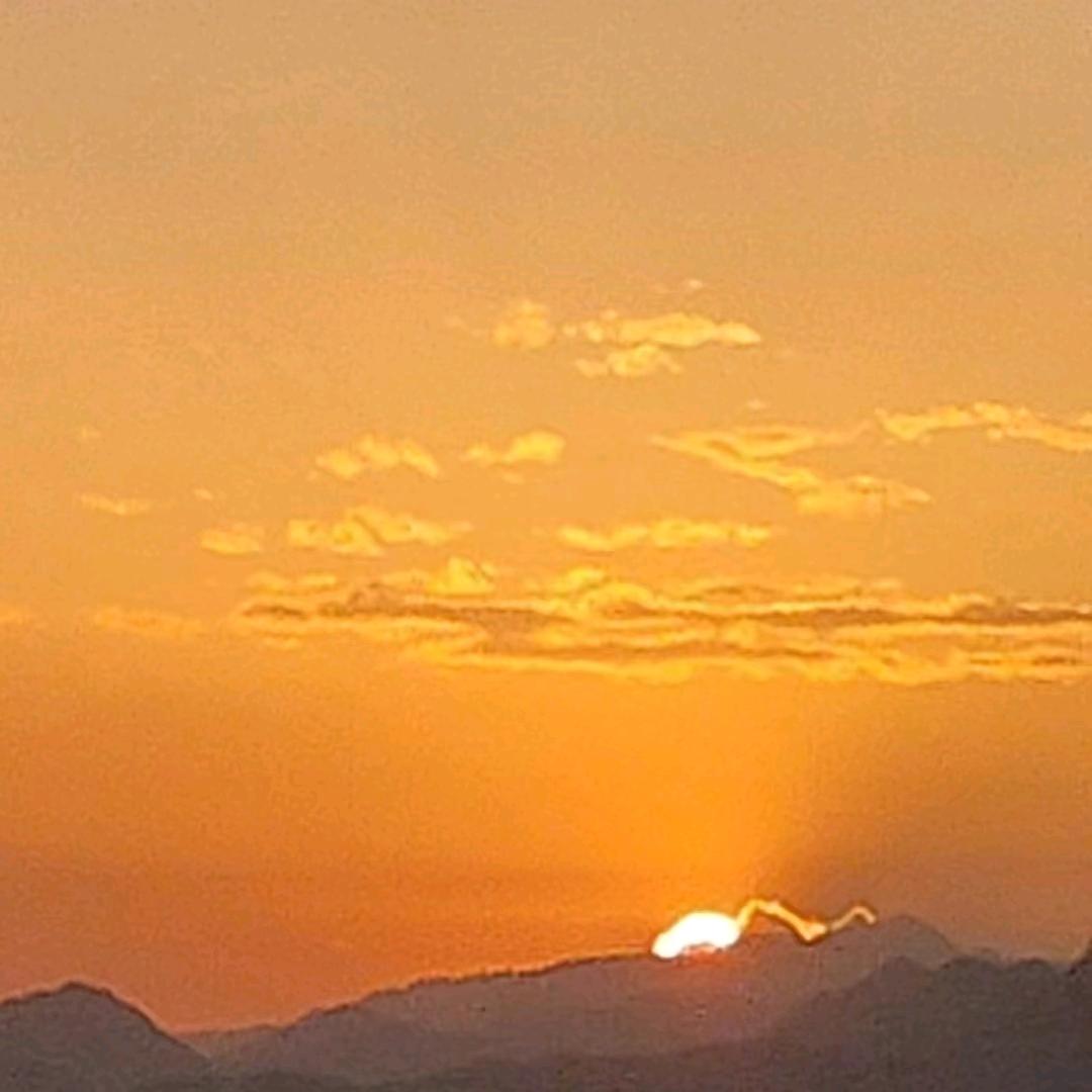 开始之后别喊暂停