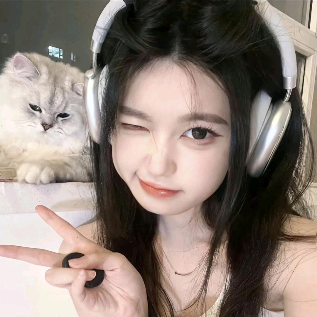 辰琛广告直播号