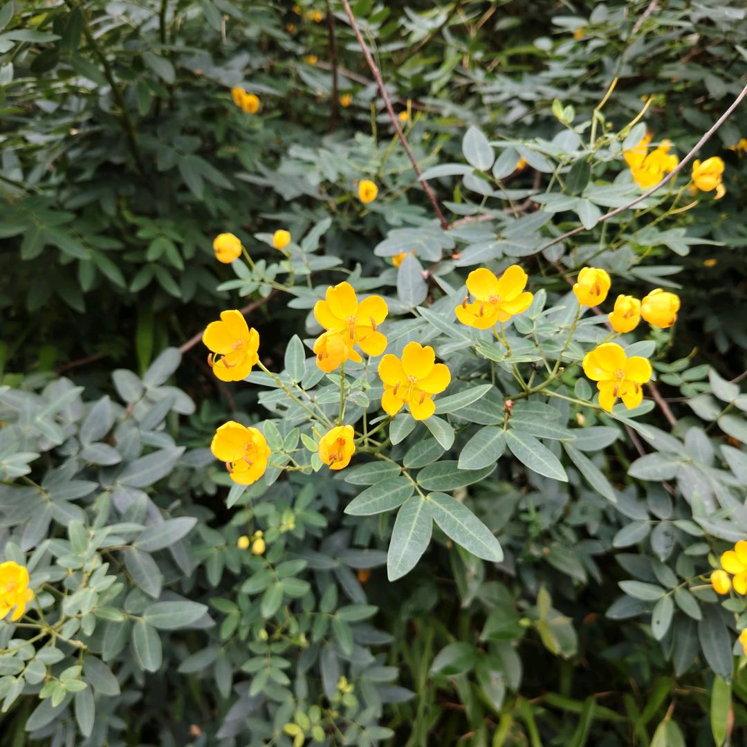 得之坦然失之淡然