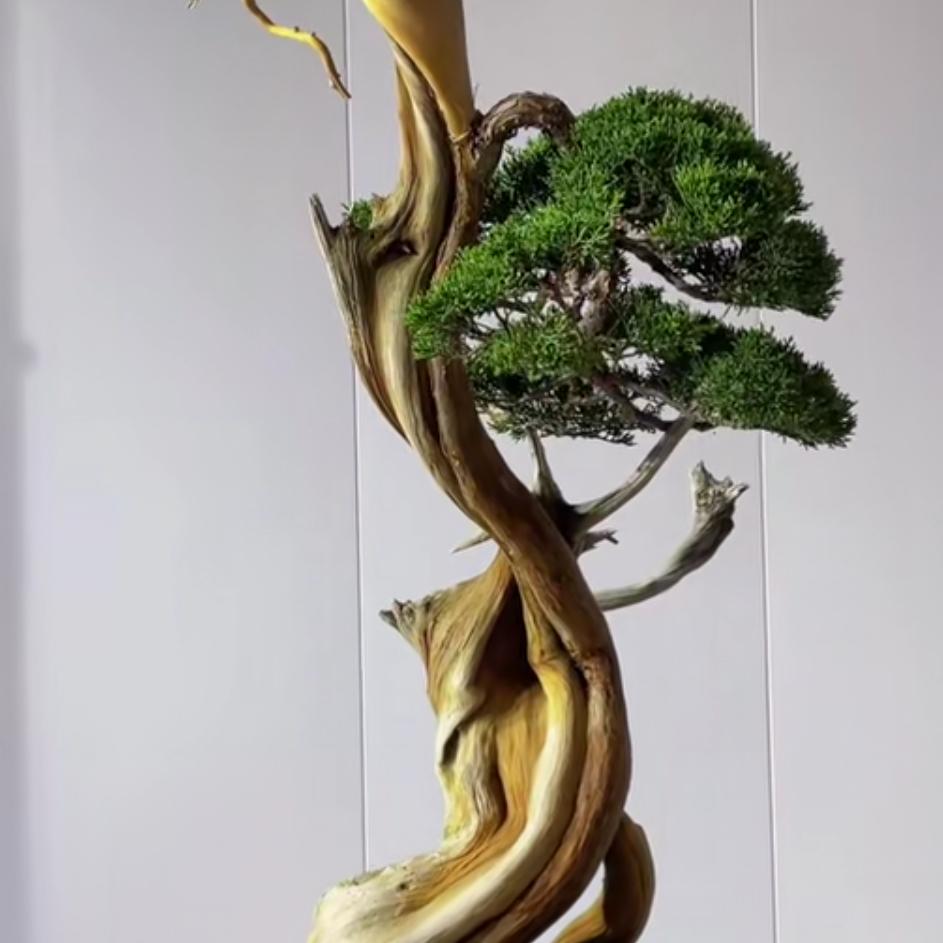 ╰☆茪辉岁月☆╮