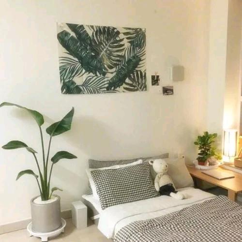 安启百货精选
