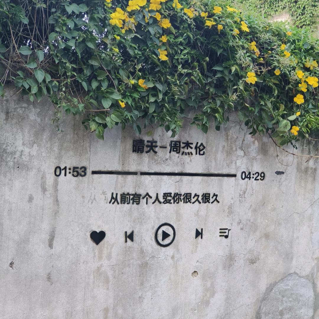 浅心
