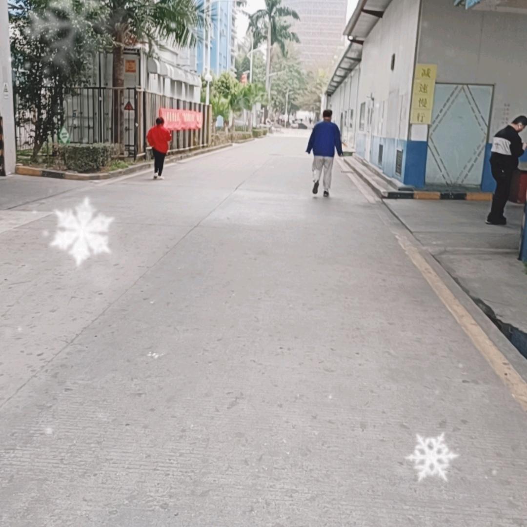 迪迪